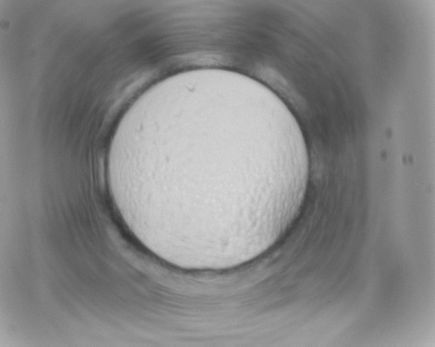 X0000074960014200609291924