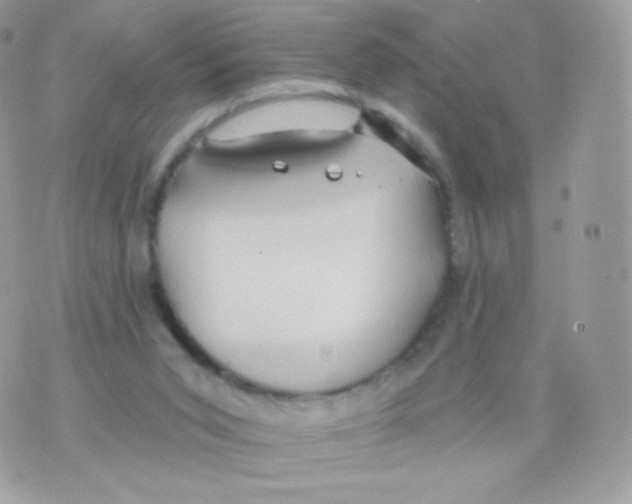 X0000074960015200609291924