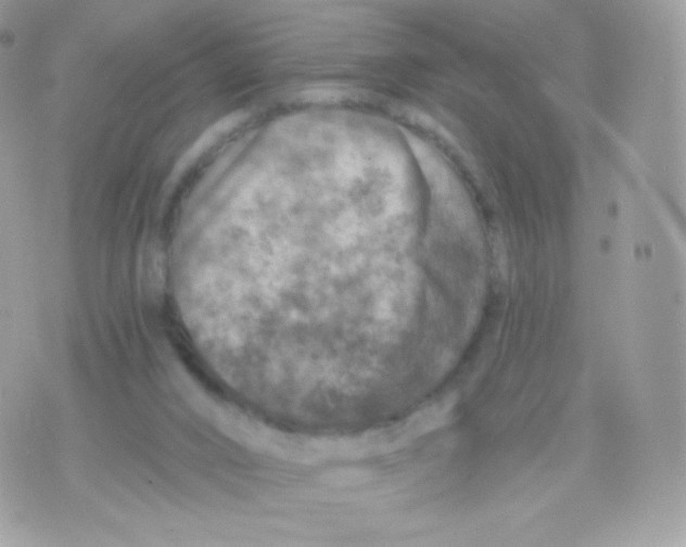 X0000074960016200609291924