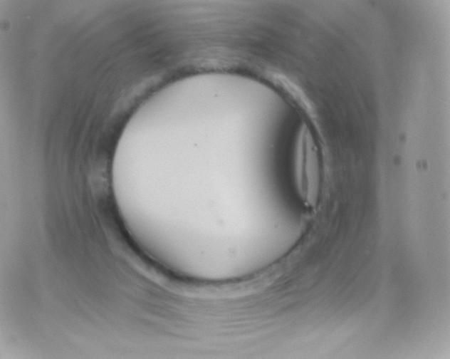 X0000074960017200609291924