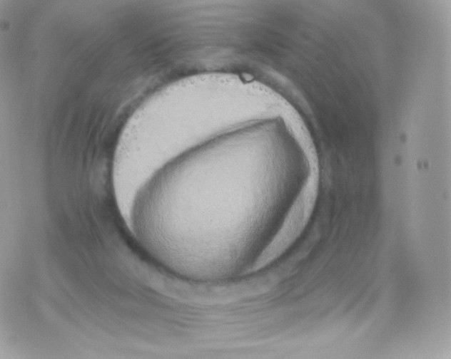 X0000074960018200609291924