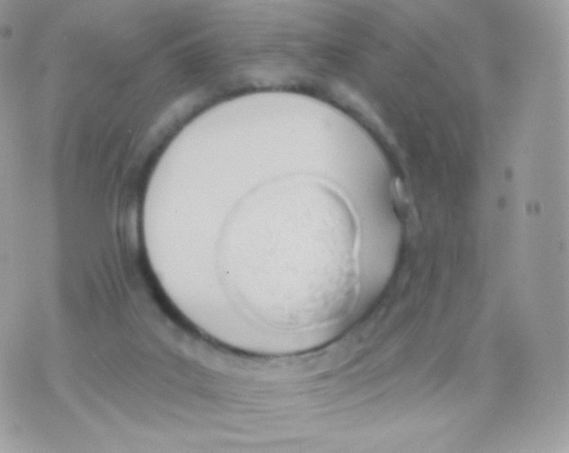 X0000074960019200609291924