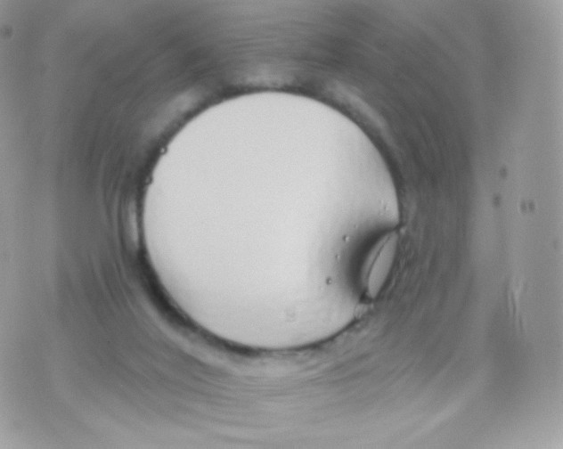 X0000074960020200609291924