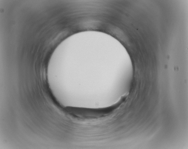 X0000074960021200609291924