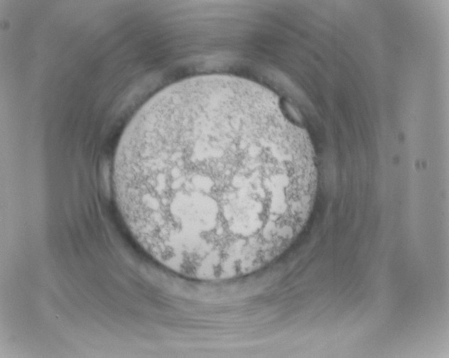 X0000074960022200609291924