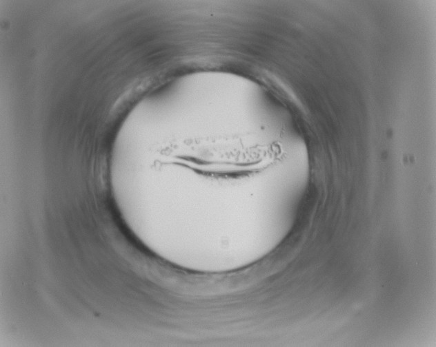 X0000074960023200609291924