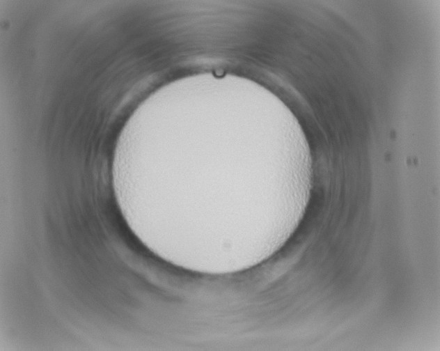 X0000074960024200609291924