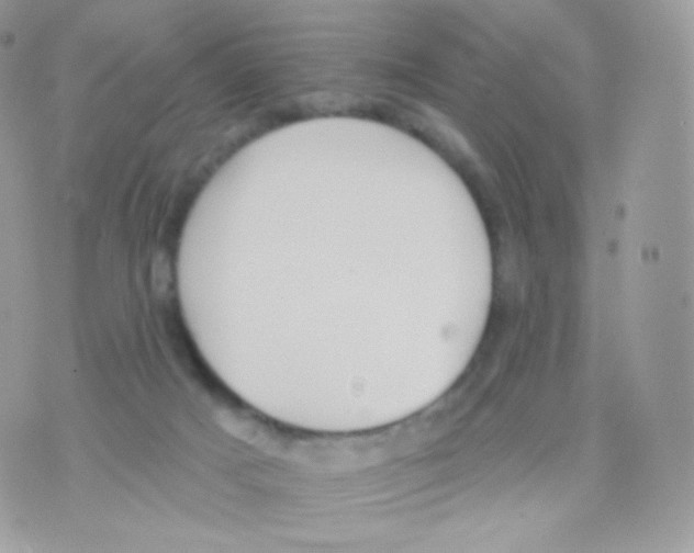 X0000074960025200609291924