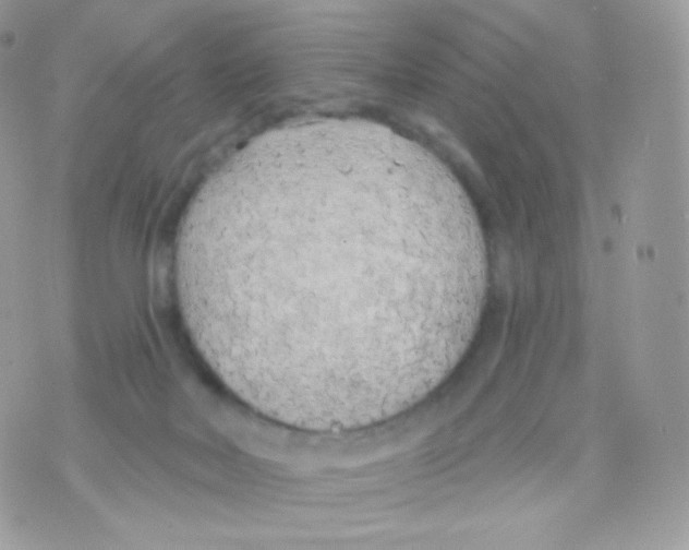 X0000074960026200609291924