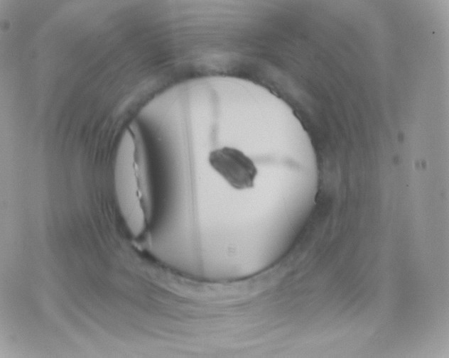 X0000074960027200609291924