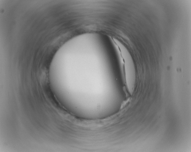 X0000074960029200609291924