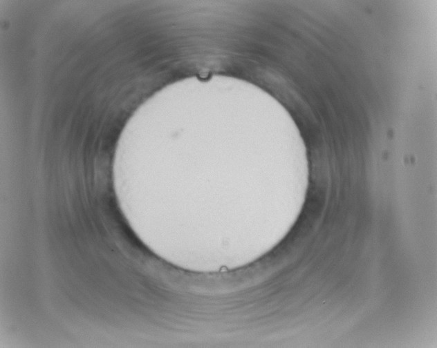 X0000074960030200609291924