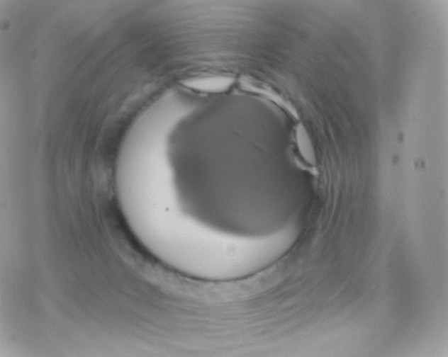 X0000074960031200609291924