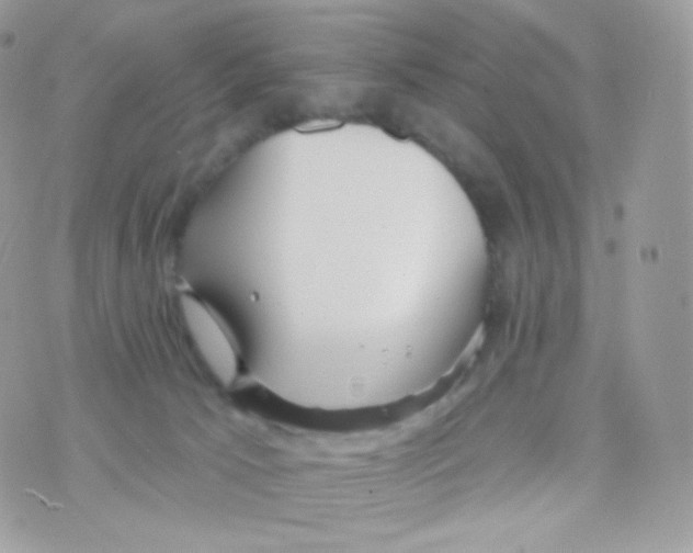 X0000074960033200609291924