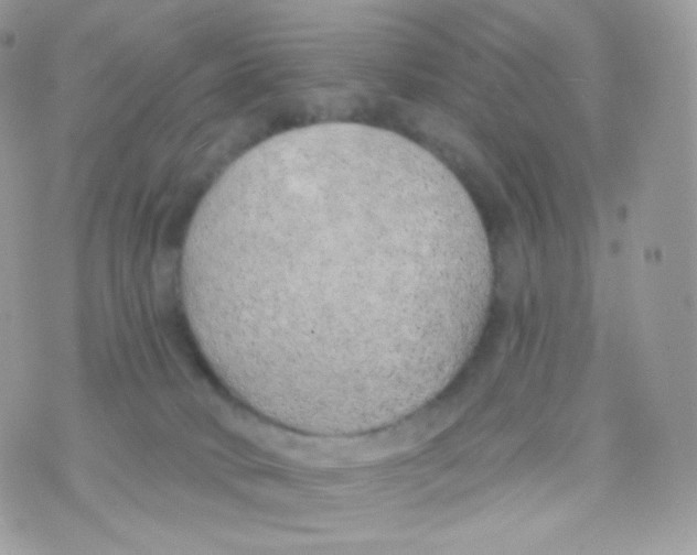 X0000074960034200609291924