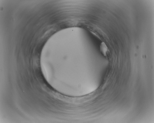 X0000074960035200609291924