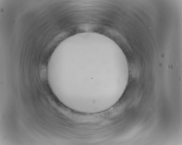 X0000074960036200609291924