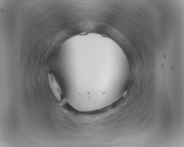 X0000074960037200609291924