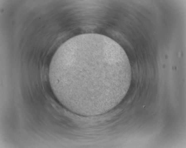 X0000074960038200609291924