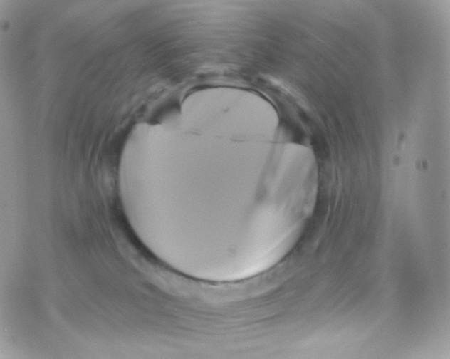 X0000074960039200609291924