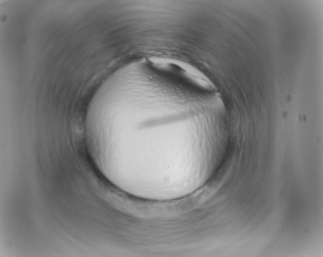 X0000074960040200609291924