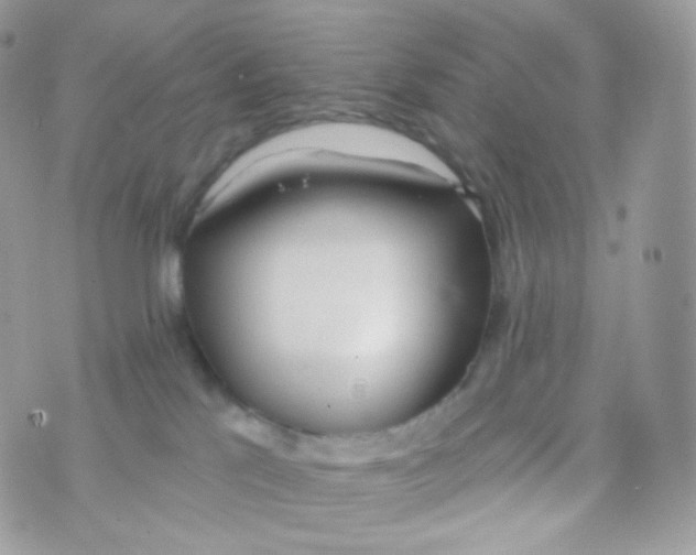 X0000074960041200609291924