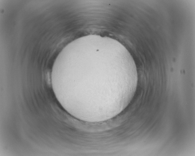 X0000074960042200609291924