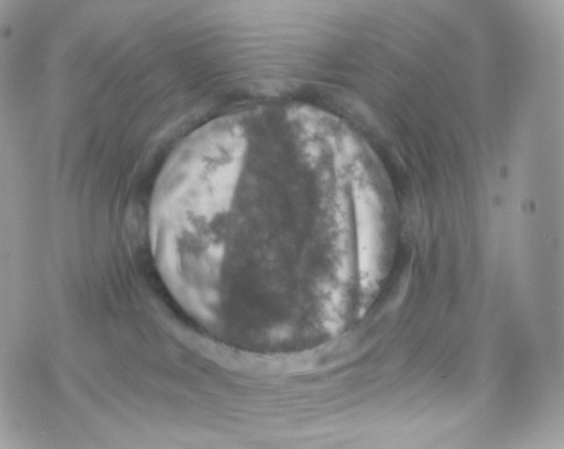 X0000074960043200609291924