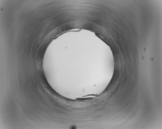 X0000074960044200609291924