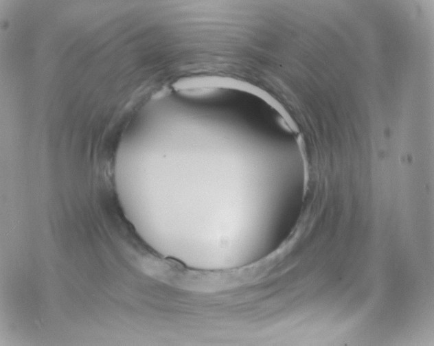 X0000074960045200609291924