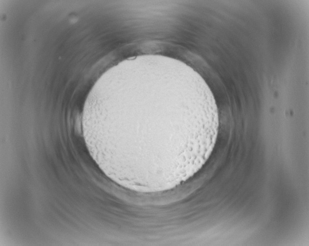 X0000074960046200609291924