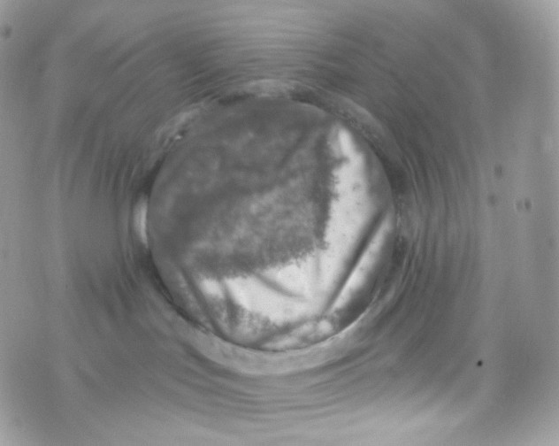 X0000074960047200609291924