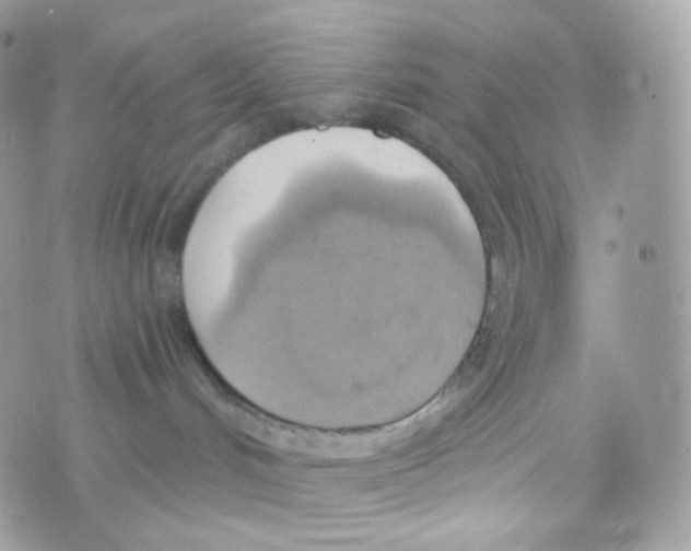 X0000074960048200609291924