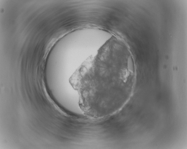 X0000074960049200609291923