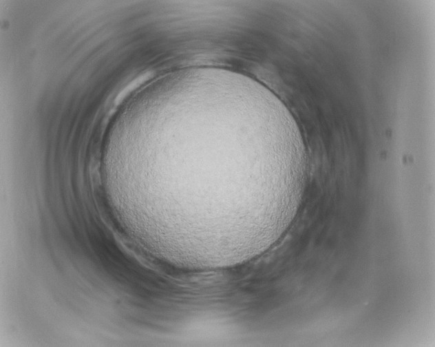 X0000074960050200609291923