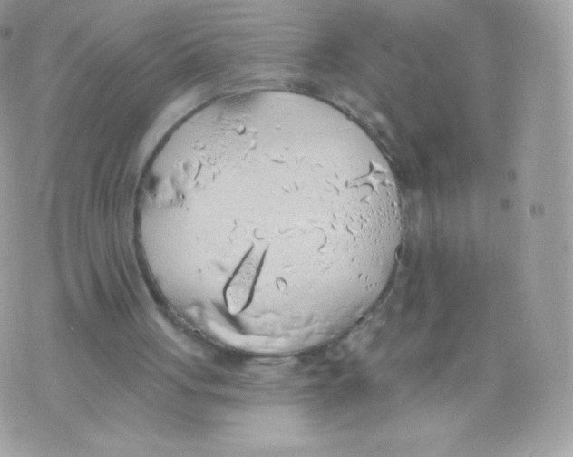 X0000074960051200609291923