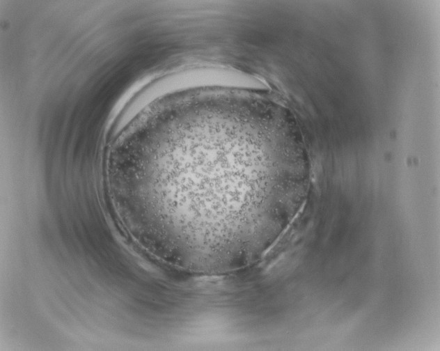 X0000074960052200609291923