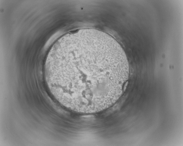 X0000074960053200609291923