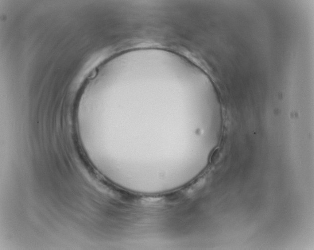 X0000074960055200609291923