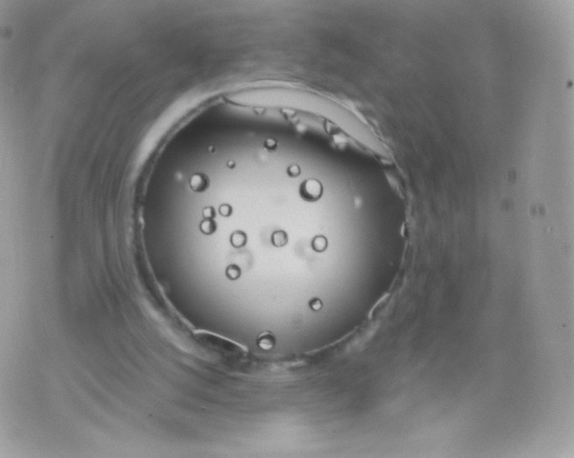 X0000074960056200609291923