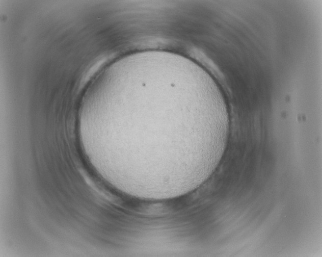 X0000074960058200609291923