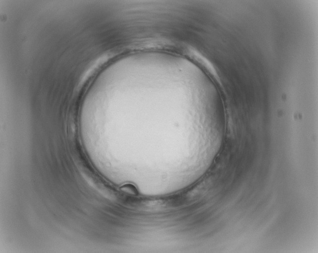 X0000074960059200609291923