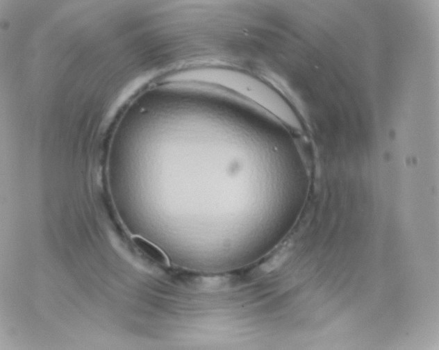 X0000074960060200609291923