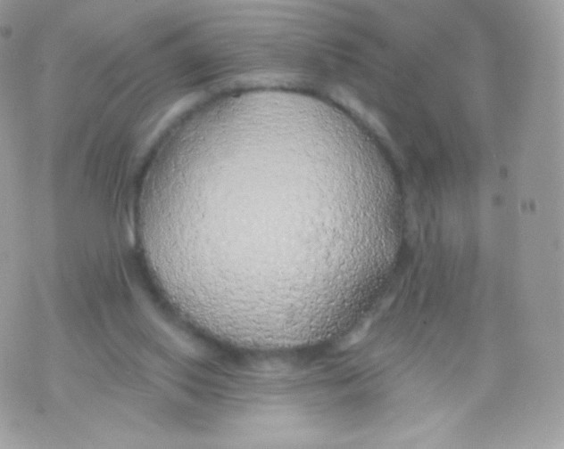 X0000074960062200609291923