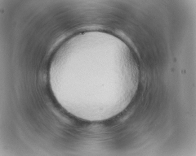 X0000074960063200609291923