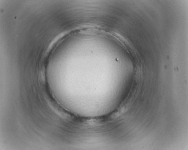 X0000074960064200609291923