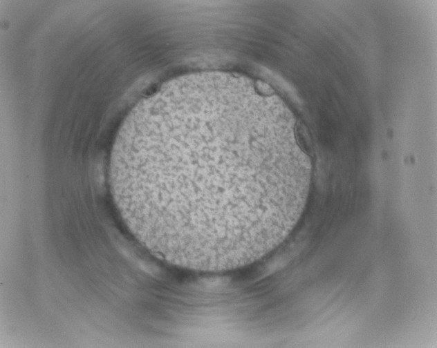 X0000074960065200609291923