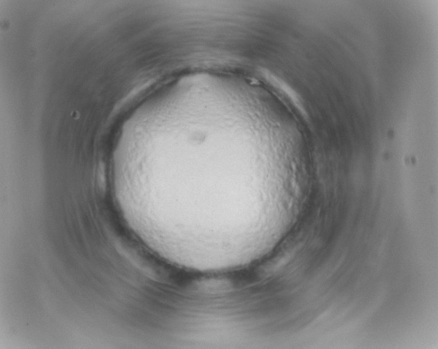 X0000074960067200609291923