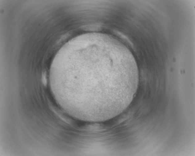 X0000074960069200609291923