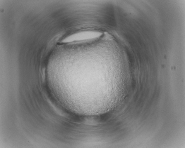 X0000074960070200609291923